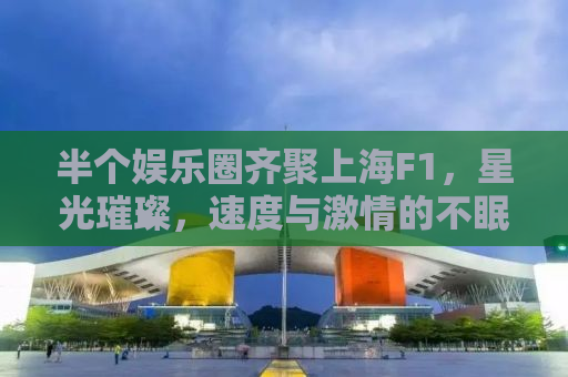 半个娱乐圈齐聚上海F1，星光璀璨，速度与激情的不眠之夜
