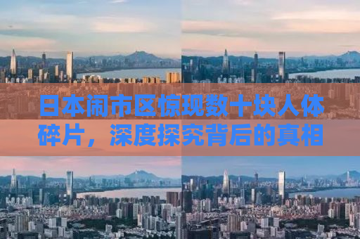 日本闹市区惊现数十块人体碎片，深度探究背后的真相与影响