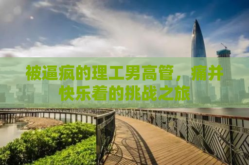 被逼疯的理工男高管，痛并快乐着的挑战之旅