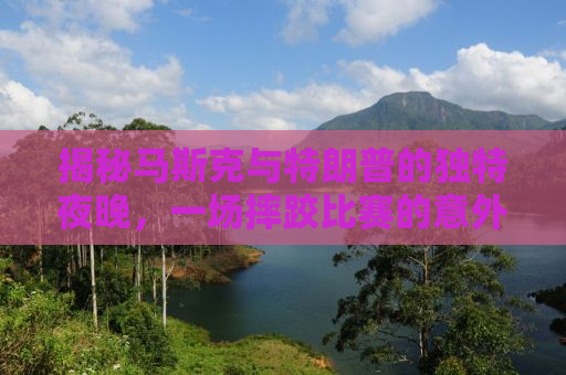 揭秘马斯克与特朗普的独特夜晚，一场摔跤比赛的意外碰撞