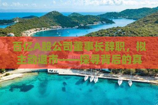 百亿A股公司董事长辞职，拟主动退市——探寻背后的真相与挑战