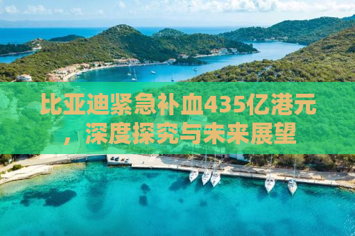 比亚迪紧急补血435亿港元，深度探究与未来展望