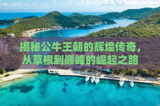 揭秘公牛王朝的辉煌传奇，从草根到巅峰的崛起之路