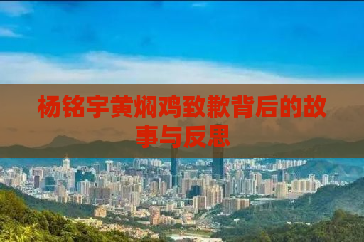 杨铭宇黄焖鸡致歉背后的故事与反思