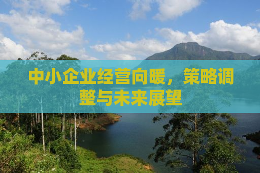 中小企业经营向暖，策略调整与未来展望