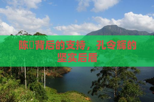 陈玘背后的支持，孔令辉的坚实后盾
