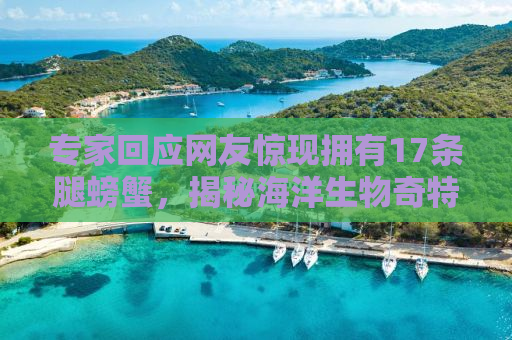 专家回应网友惊现拥有17条腿螃蟹，揭秘海洋生物奇特现象