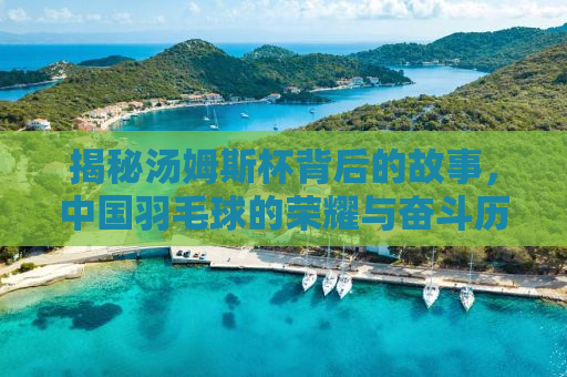 揭秘汤姆斯杯背后的故事，中国羽毛球的荣耀与奋斗历程（2012年汤姆斯杯回顾）